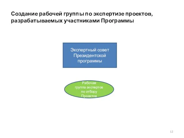 Создание рабочей группы по экспертизе проектов, разрабатываемых участниками Программы Экспертный совет Президентской