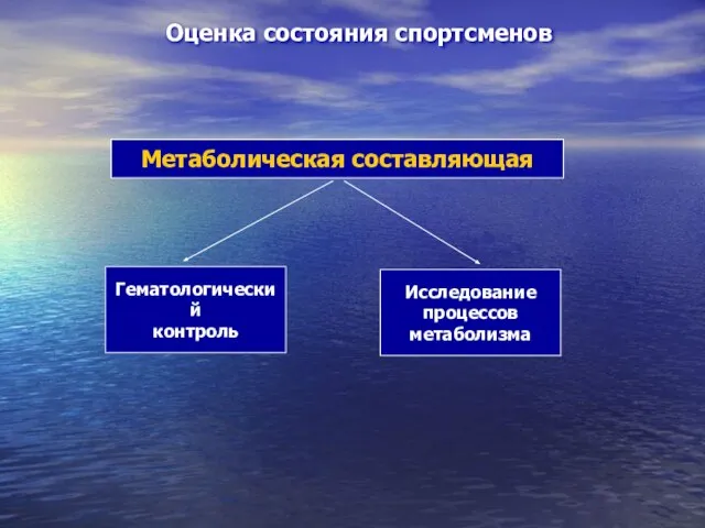 Оценка состояния спортсменов Метаболическая составляющая Гематологический контроль Исследование процессов метаболизма