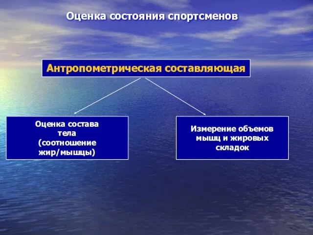 Оценка состояния спортсменов Антропометрическая составляющая Оценка состава тела (соотношение жир/мышцы) Измерение объемов мышц и жировых складок