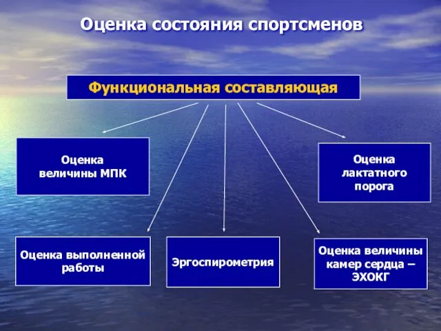 Оценка состояния спортсменов Функциональная составляющая Оценка величины МПК Оценка лактатного порога Оценка