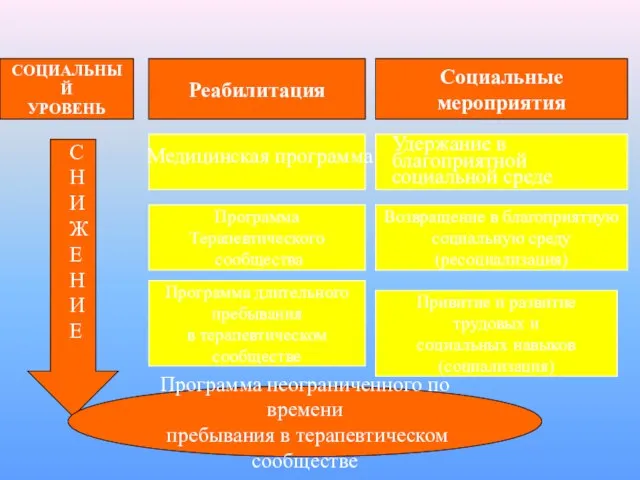 СОЦИАЛЬНЫЙ УРОВЕНЬ Реабилитация Социальные мероприятия СНИЖЕНИЕ Медицинская программа Удержание в благоприятной социальной