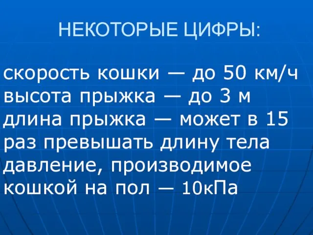 НЕКОТОРЫЕ ЦИФРЫ: скорость кошки — до 50 км/ч высота прыжка — до