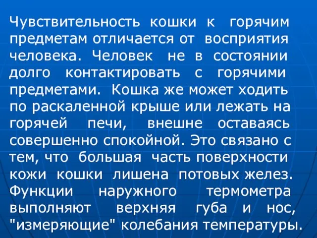 Чувствительность кошки к горячим предметам отличается от восприятия человека. Человек не в