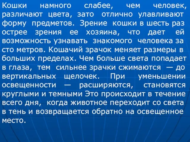 Кошки намного слабее, чем человек, различают цвета, зато отлично улавливают форму предметов.