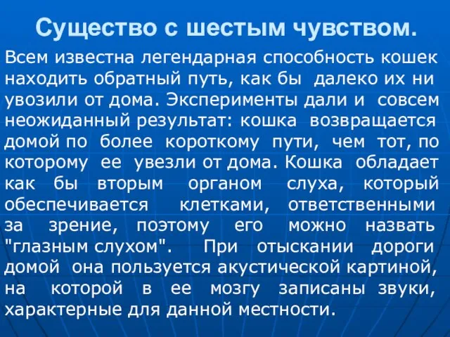 Существо с шестым чувством. Всем известна легендарная способность кошек находить обратный путь,