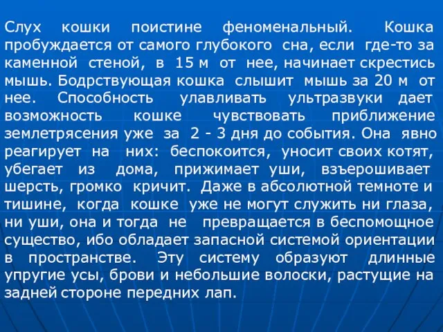 Слух кошки поистине феноменальный. Кошка пробуждается от самого глубокого сна, если где-то