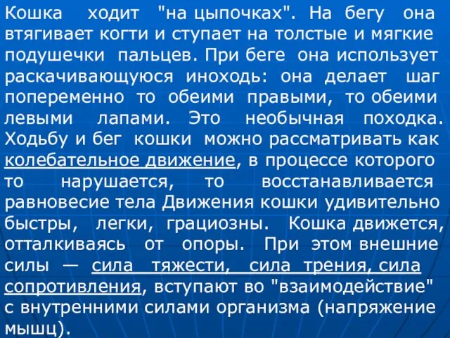 Кошка ходит "на цыпочках". На бегу она втягивает когти и ступает на