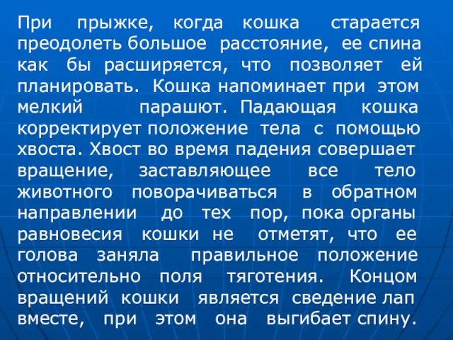 При прыжке, когда кошка старается преодолеть большое расстояние, ее спина как бы