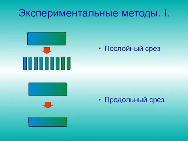 Экспериментальные методы. I. Послойный срез Продольный срез