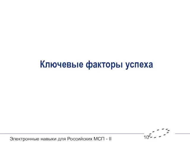 Электронные навыки для Российских МСП - II Ключевые факторы успеха