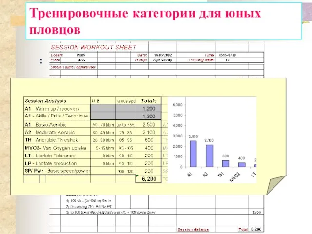 : Тренировочные категории для юных пловцов