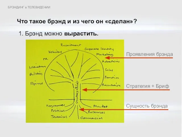 Что такое брэнд и из чего он «сделан»? 1. Брэнд можно вырастить.