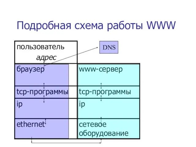 Подробная схема работы WWW DNS