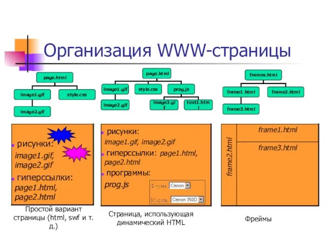 Организация WWW-страницы Простой вариант страницы (html, swf и т.д.) Страница, использующая динамический HTML Фреймы frame2.html