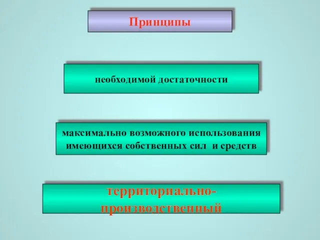 Принципы необходимой достаточности максимально возможного использования имеющихся собственных сил и средств территориально-производственный