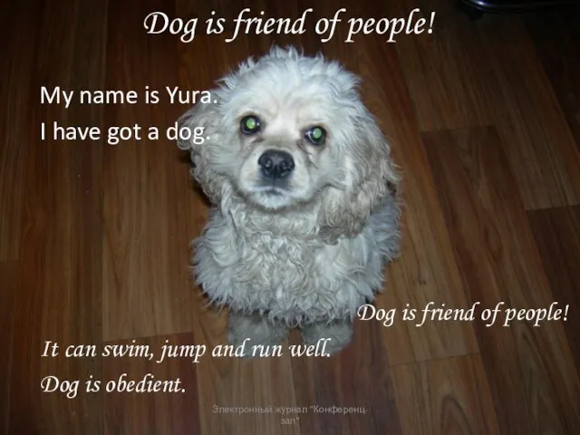 Dog is friend of people! My name is Yura. I have got