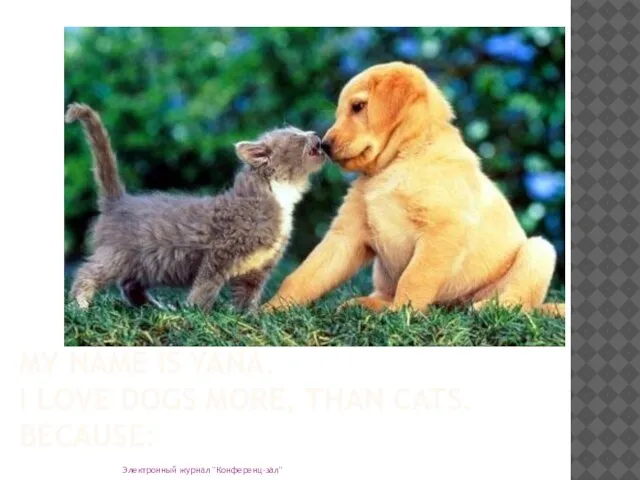 MY NAME IS YANA. I LOVE DOGS MORE, THAN CATS. BECAUSE: Электронный журнал "Конференц-зал"