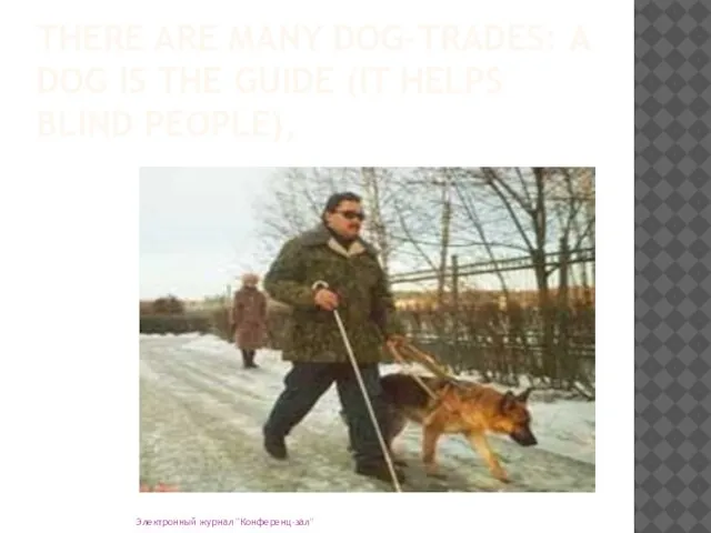 THERE ARE MANY DOG-TRADES: A DOG IS THE GUIDE (IT HELPS BLIND PEOPLE), Электронный журнал "Конференц-зал"