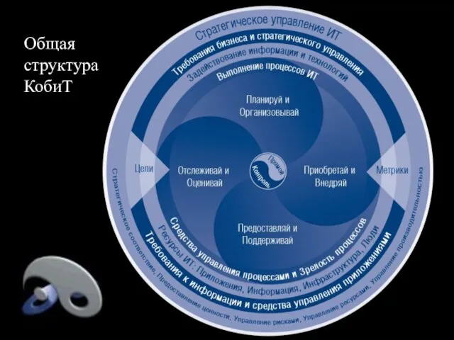 Общая структура КобиТ