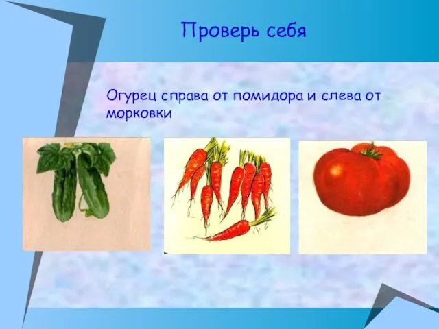 Огурец справа от помидора и слева от морковки Проверь себя