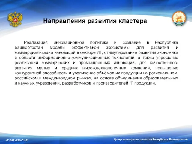 Центр кластерного развития Республики Башкортостан Направления развития кластера Реализация инновационной политики и