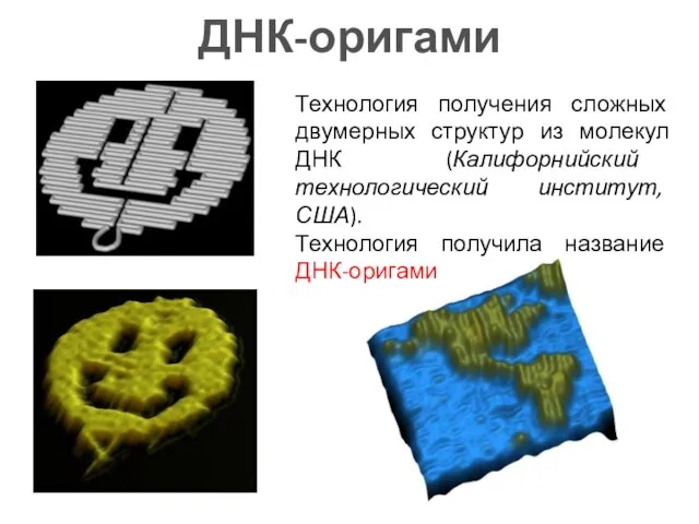 ДНК-оригами Технология получения сложных двумерных структур из молекул ДНК (Калифорнийский технологический институт,