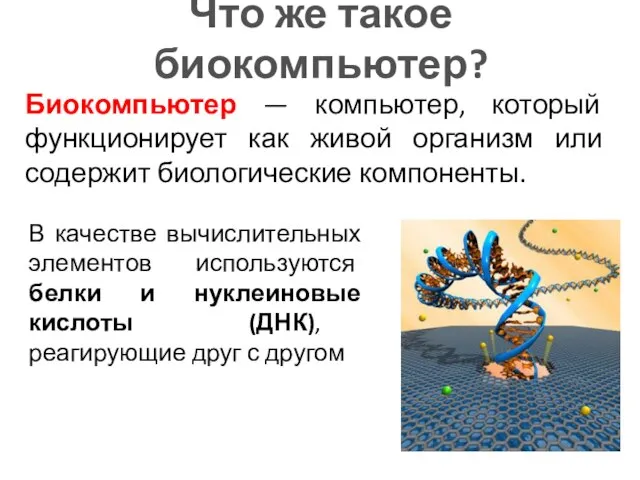 Что же такое биокомпьютер? Биокомпьютер — компьютер, который функционирует как живой организм