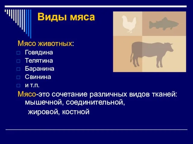 Виды мяса Мясо животных: Говядина Телятина Баранина Свинина и т.п. Мясо-это сочетание