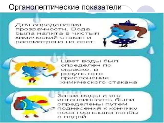 Органолептические показатели