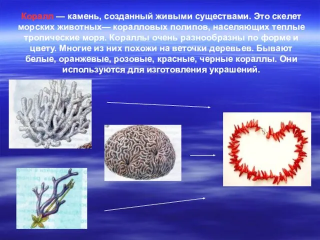 Коралл — камень, созданный живыми существами. Это скелет морских животных— коралловых полипов,