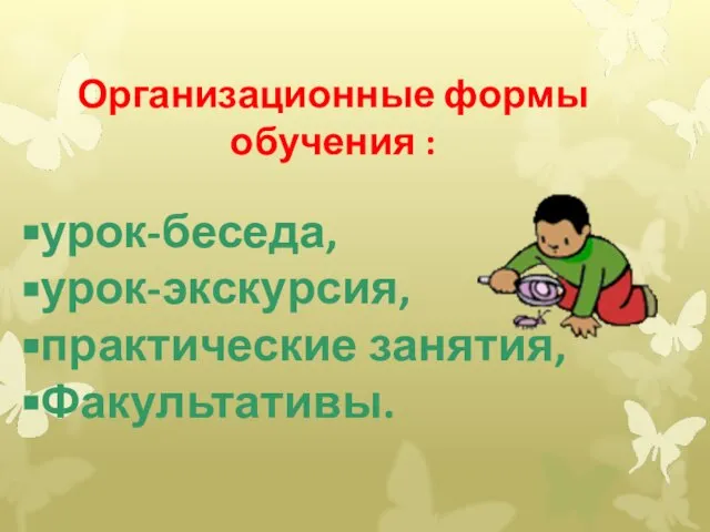 Организационные формы обучения : урок-беседа, урок-экскурсия, практические занятия, Факультативы.