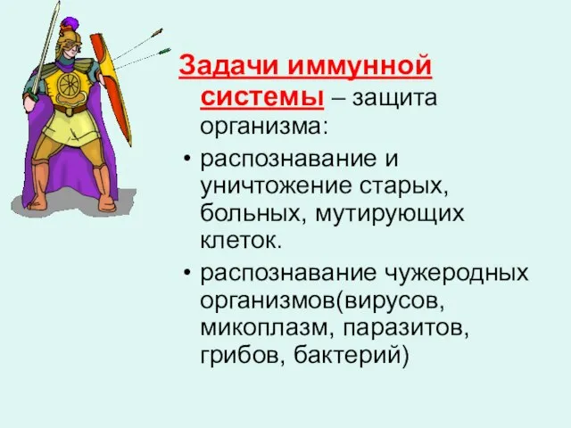 Задачи иммунной системы – защита организма: распознавание и уничтожение старых, больных, мутирующих