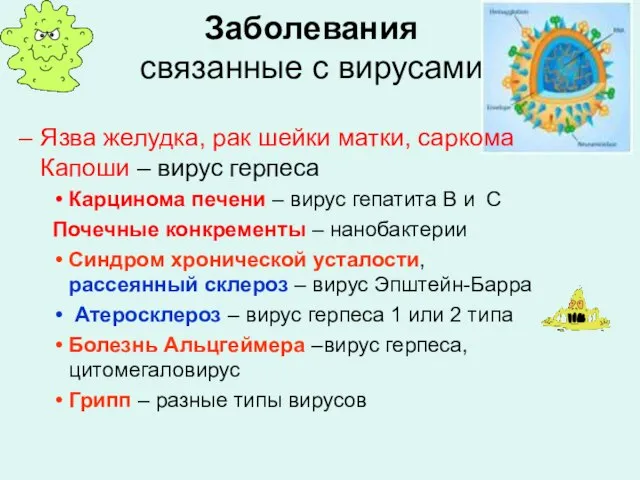 Заболевания связанные с вирусами Язва желудка, рак шейки матки, саркома Капоши –