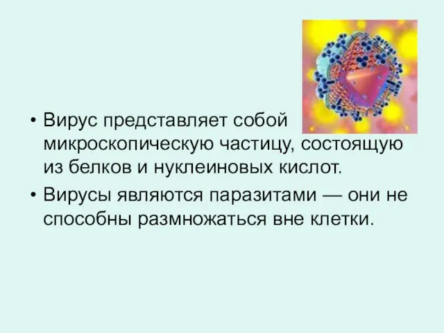 Вирус представляет собой микроскопическую частицу, состоящую из белков и нуклеиновых кислот. Вирусы