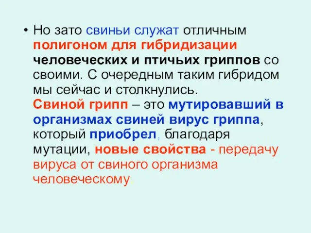 Но зато свиньи служат отличным полигоном для гибридизации человеческих и птичьих гриппов