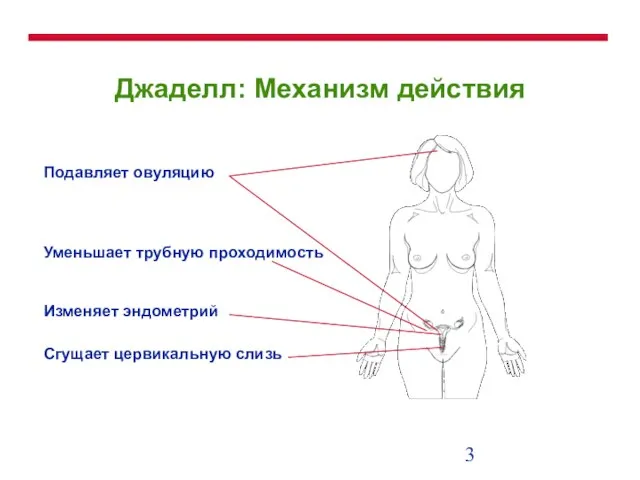 Джаделл: Механизм действия Подавляет овуляцию Уменьшает трубную проходимость Изменяет эндометрий Сгущает цервикальную слизь