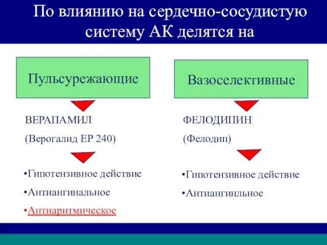 Пульсурежающие Вазоселективные ВЕРАПАМИЛ (Верогалид ЕР 240) ФЕЛОДИПИН (Фелодип) Гипотензивное действие Антиангинальное Антиаритмическое