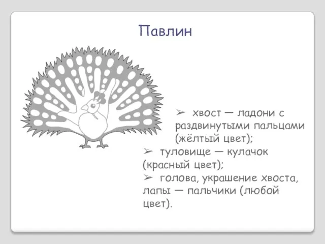 Павлин ➢ хвост — ладони с раздвинутыми пальцами (жёлтый цвет); ➢ туловище