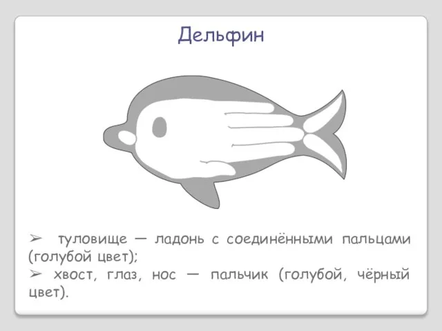 Дельфин ➢ туловище — ладонь с соединёнными пальцами (голубой цвет); ➢ хвост,