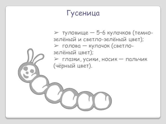 Гусеница ➢ туловище — 5–6 кулачков (темно- зелёный и светло-зелёный цвет); ➢