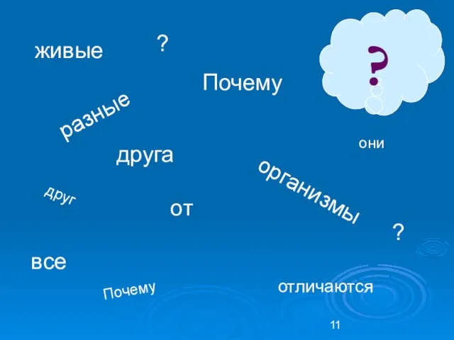 ? разные Почему Почему организмы все живые они отличаются друг от друга ? ?