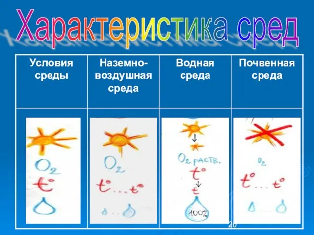 Характеристика сред