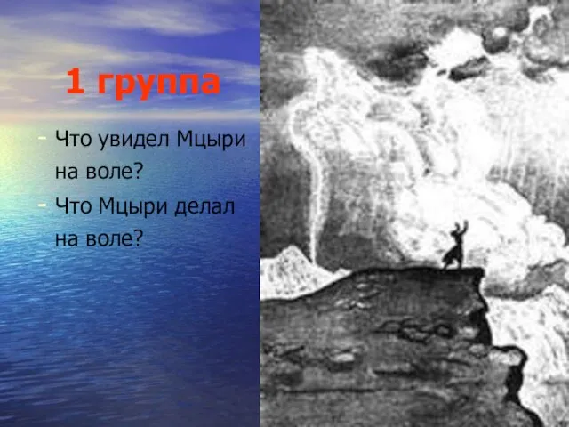 1 группа Что увидел Мцыри на воле? Что Мцыри делал на воле?