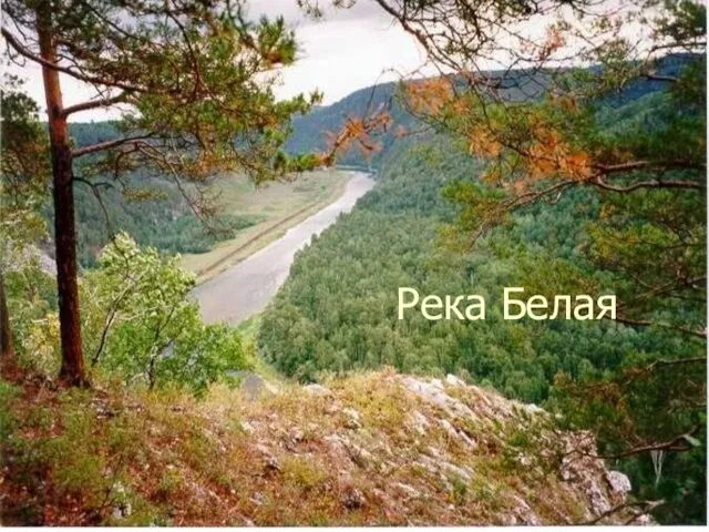 Река Белая