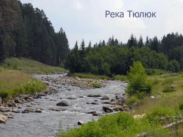 Река Тюлюк