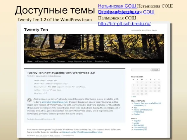 Доступные темы Twenty Ten 1.2 от the WordPress team Нетьинская СОШ Нетьинская