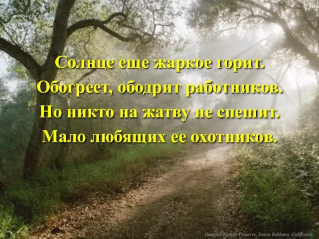 Солнце еще жаркое горит. Обогреет, ободрит работников. Но никто на жатву не