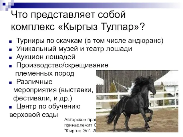 Авторское право принадлежит ОО "Кыргыз Эл". 2009 Что представляет собой комплекс «Кыргыз