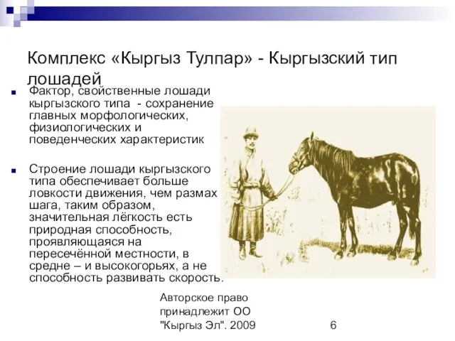 Авторское право принадлежит ОО "Кыргыз Эл". 2009 Комплекс «Кыргыз Тулпар» - Кыргызский