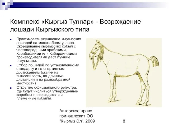 Авторское право принадлежит ОО "Кыргыз Эл". 2009 Комплекс «Кыргыз Тулпар» - Возрождение